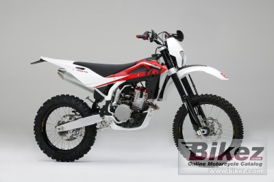 2010 Husqvarna TE310 photo